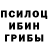 Галлюциногенные грибы Magic Shrooms DILOVAR BAHTIYOR