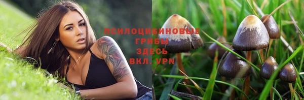 мефедрон мука Заречный