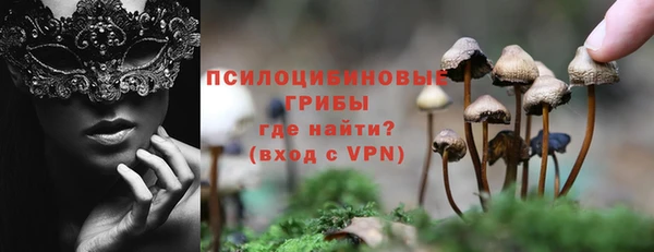 герыч Дмитров