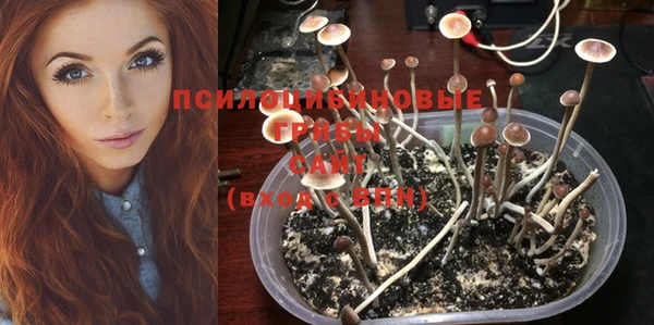 прущая мука Остров