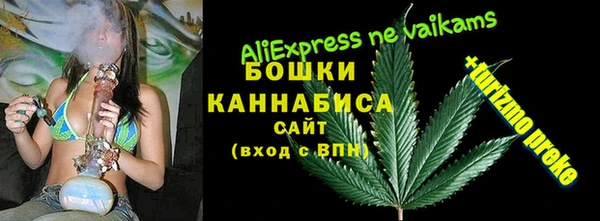 мет Осинники