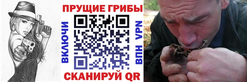 Галлюциногенные грибы мухоморы Приозерск